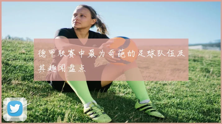 德甲联赛中最为奇葩的足球队伍及其趣闻盘点