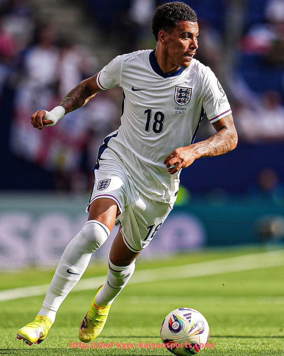 ky开云体育-世俱杯医疗舆情应对事件合集与危机管理经验